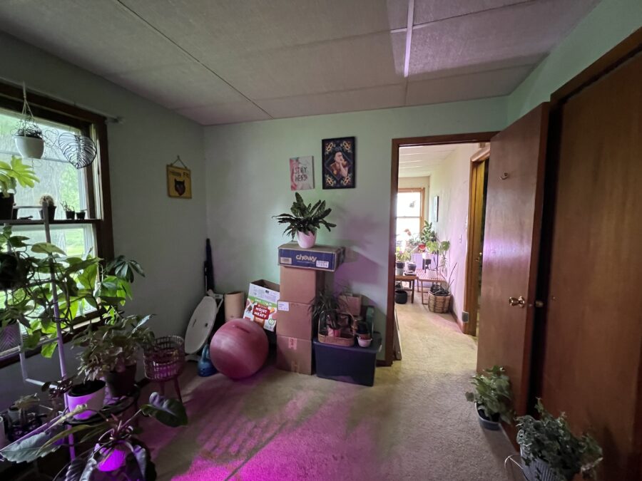 IMG 2362