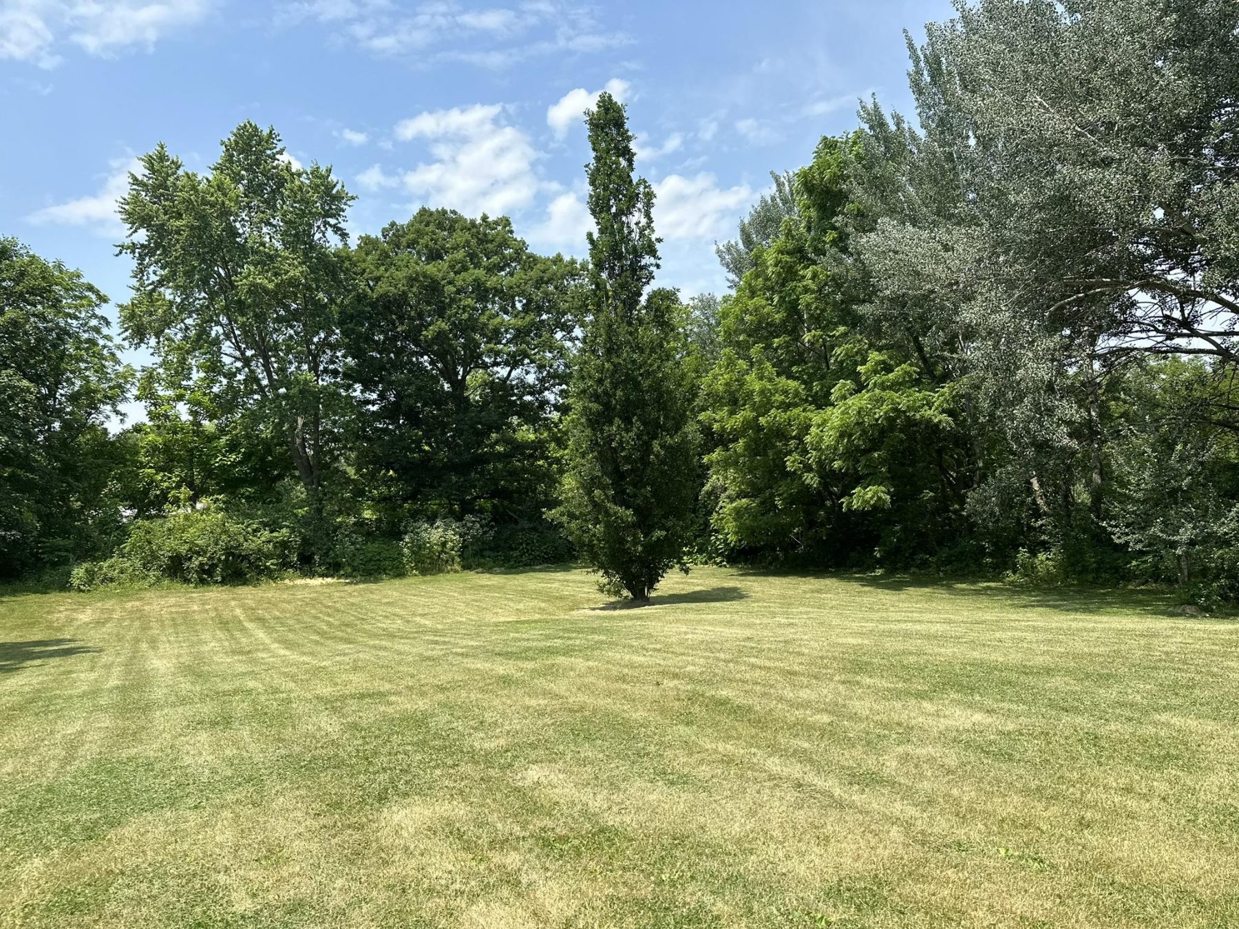 IMG 0085