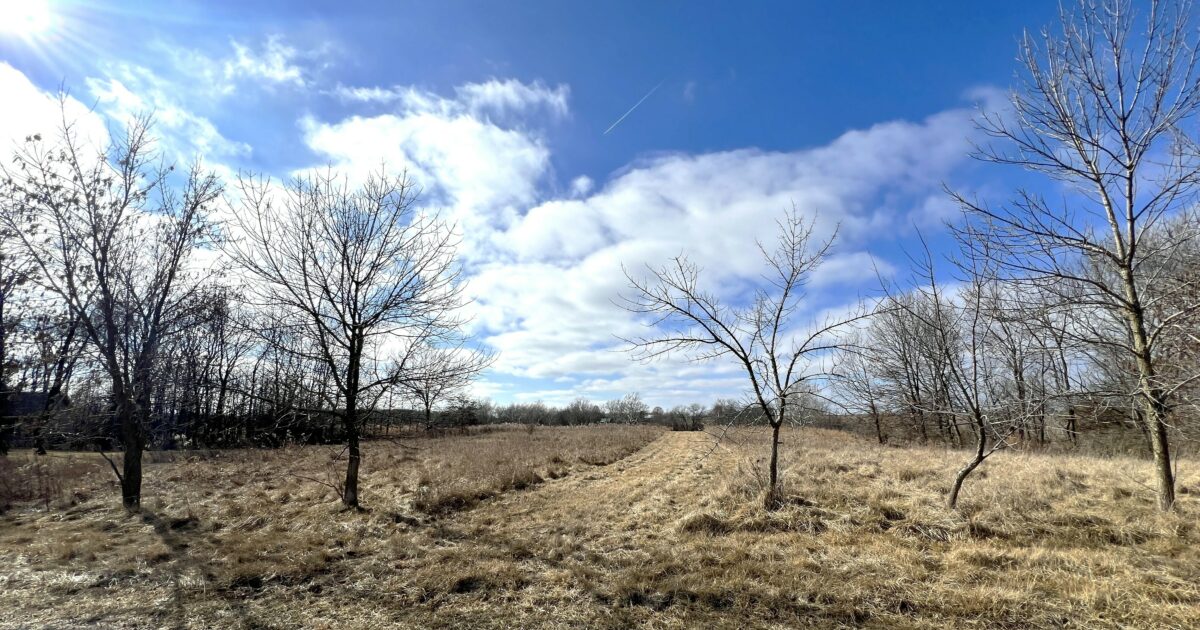 Gordon Circle, Carlinville, IL 62626 Goodman Agency