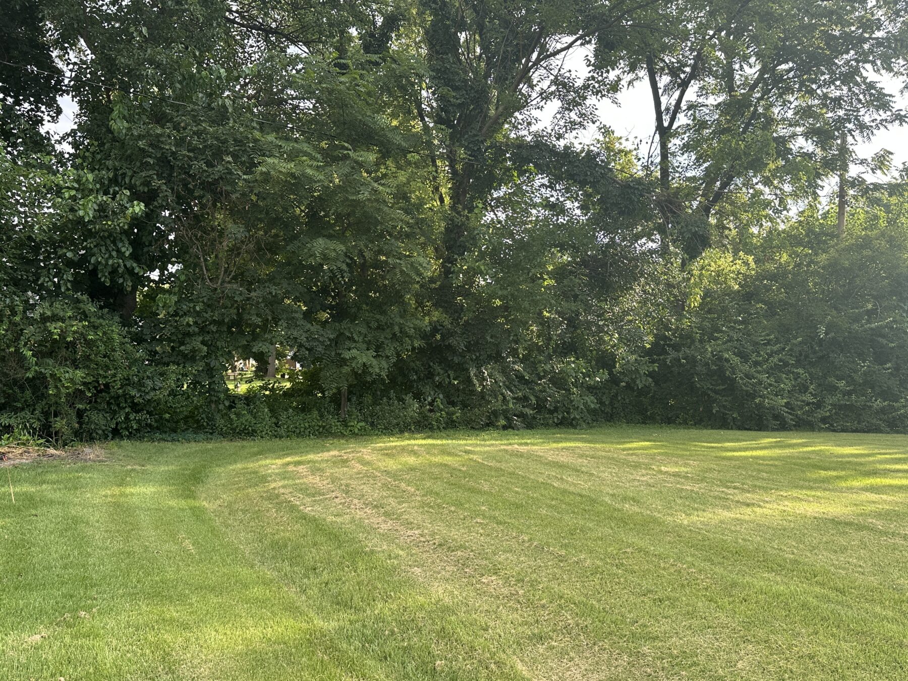 IMG 3858