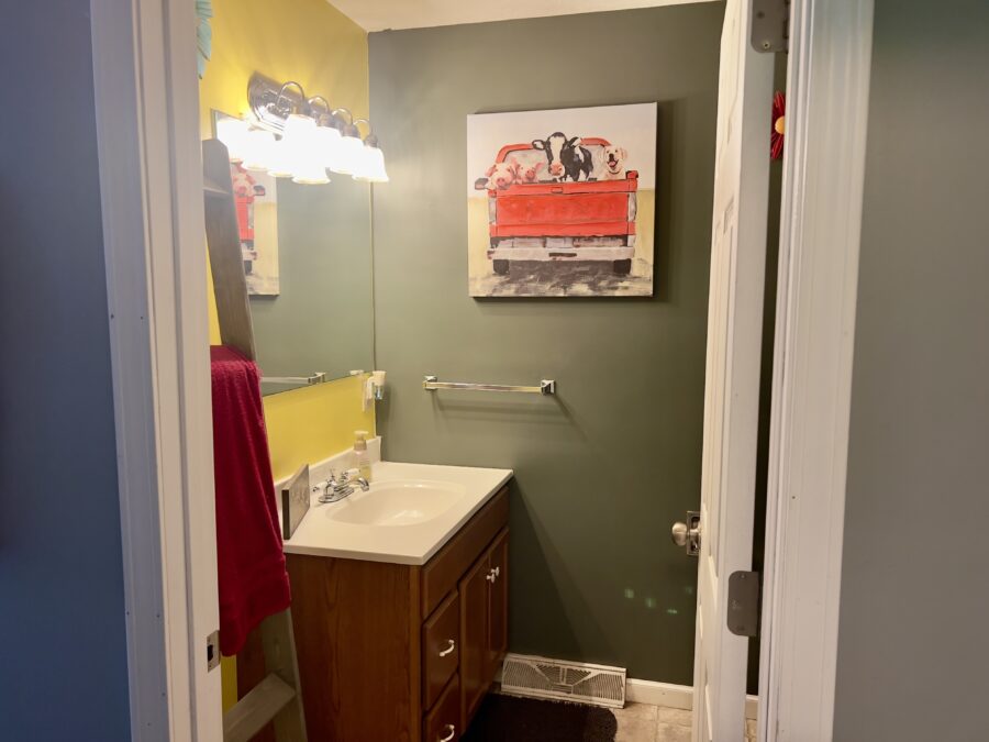 IMG 7081
